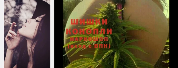 эйфоретик Кукмор