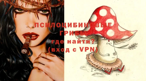 a pvp Ладушкин