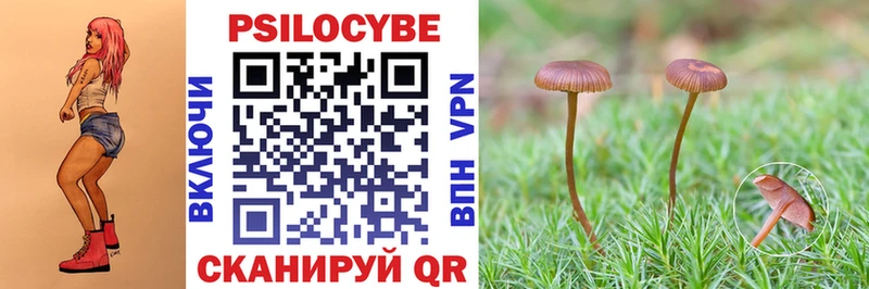 Галлюциногенные грибы Psilocybe  Купить где  Асбест 
